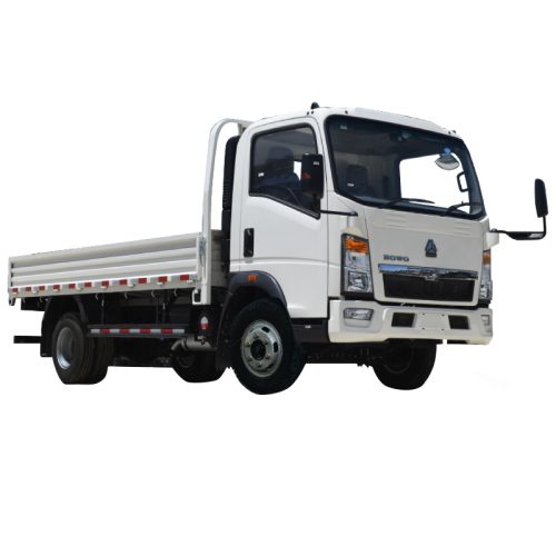 SINO HOWO 4 TON MT Cargo Truck